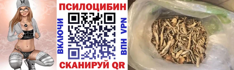 мега сайт Курчатов Галлюциногенные грибы ЛСД
